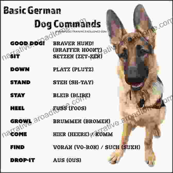 A German Shepherd Puppy Learning Basic Obedience Commands Training Guide For New German Shepherd Owners: History Health And Famous GSD S Plus Puppy Training Including House Potty And Crate Training Leash Recall And Separation Anxiety