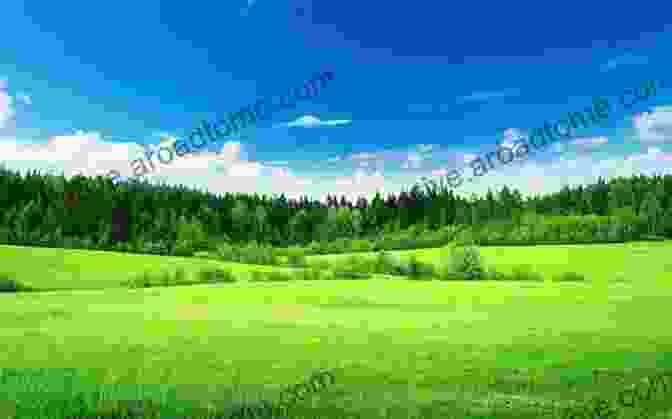 A Lush Green Meadow With Rolling Hills And A Clear Blue Sky Mystery Of The Ballerina Ghost Austria 1 (Pack N Go Girls Adventures)