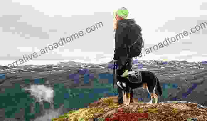 A Woman And Her Dog Walking Along A Path In Norway. A Frenchie On The St Olav Way: A Long Hike From The South To The North Of Norway On The Gudbrandsdaleden