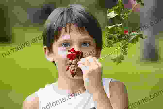 A Young Boy Sniffing A Flower A Little Boy S Treasure Chest