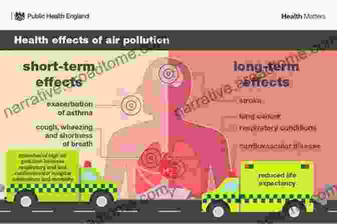 Air Pollution Sources And Health Effects Epidemiology: Beyond The Basics