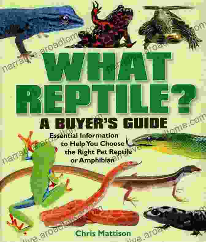 Amazing Guide To Diseases In Reptiles For Beginners And Novices Book Cover Amazing Guide To Diseases In Reptiles For Beginners And Novices