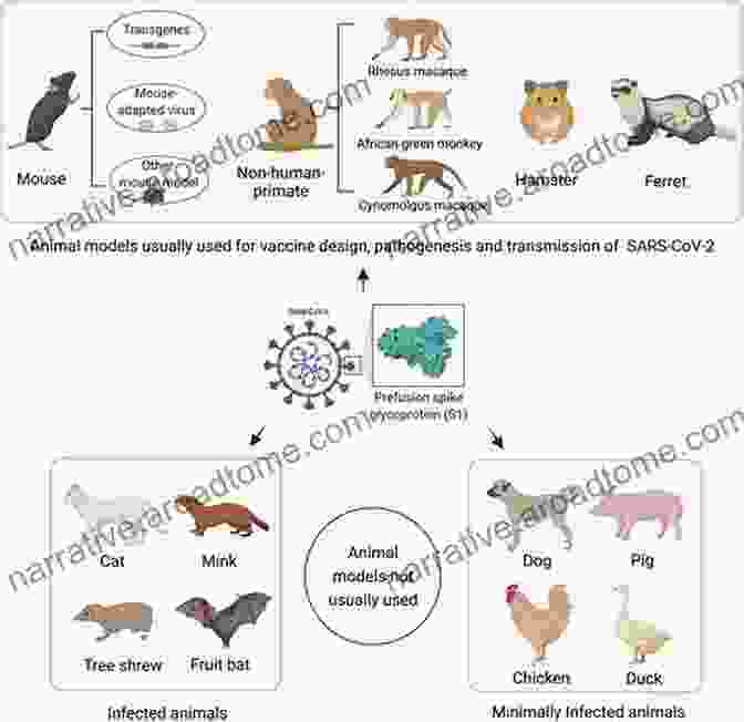 Animal Model Of Bacterial Infection Bacterial Pathogenesis: A Molecular Approach (ASM Books)