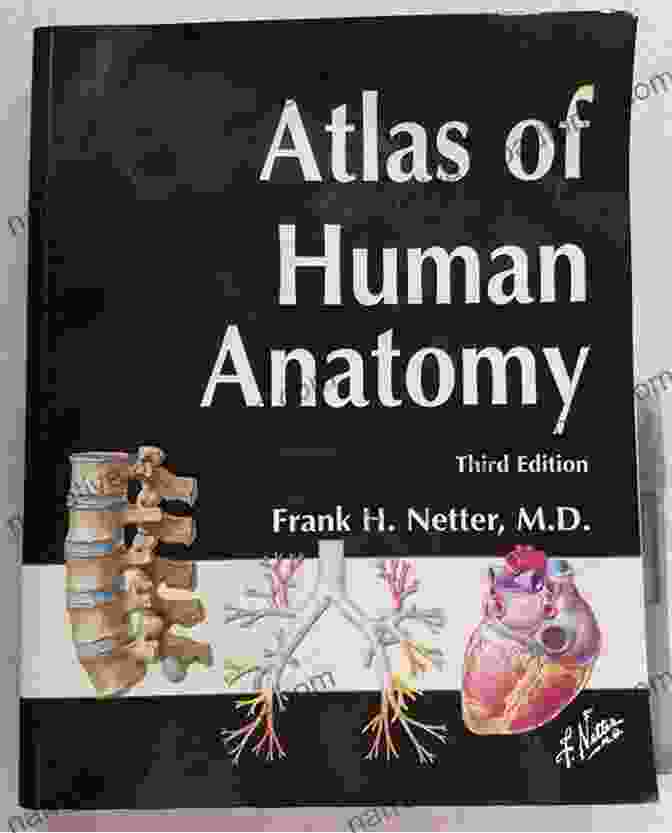 Atlas Of Human Anatomy Book Cover Atlas Of Human Anatomy: Latin Terminology: English And Latin Edition (Netter Basic Science)