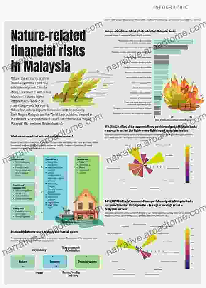 Book Cover Of An Exploration Of Nature Related Financial Risks In Malaysia An Exploration Of Nature Related Financial Risks In Malaysia