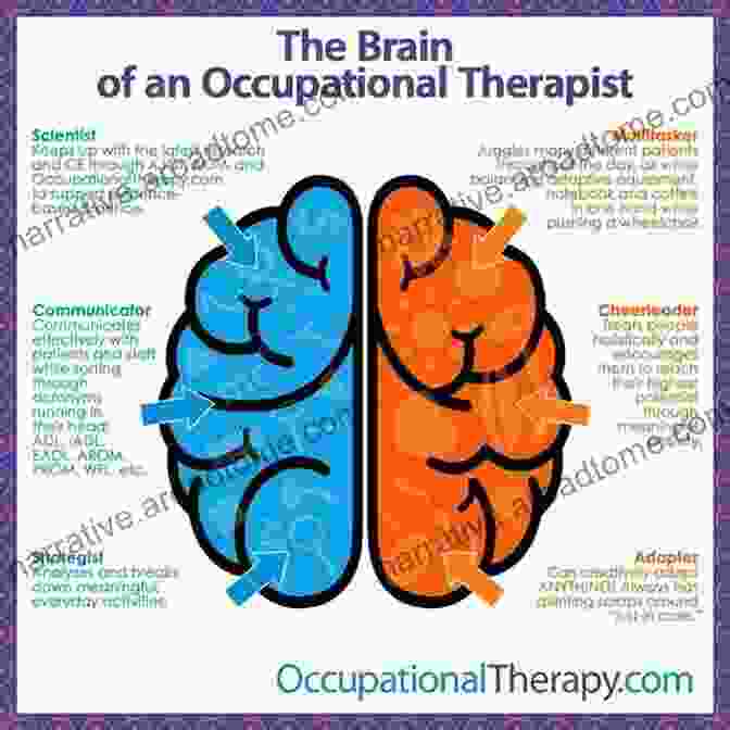 Brain And Occupation Diagram Neuropsychology For Occupational Therapists: Cognition In Occupational Performance