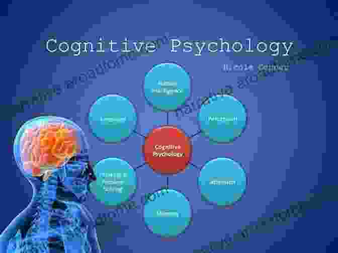 Cognitive Processes The Student S Guide To Studying Psychology