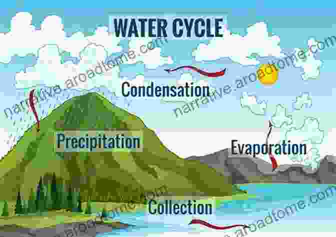 Diagram Depicting The Continuous Circulation Of Water Through Evaporation, Condensation, Precipitation, And Runoff H2O Around The World