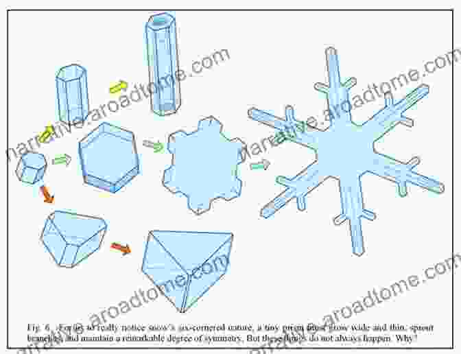 Diagram Illustrating The Formation Of Snow Crystals What Is Snow? Adam James