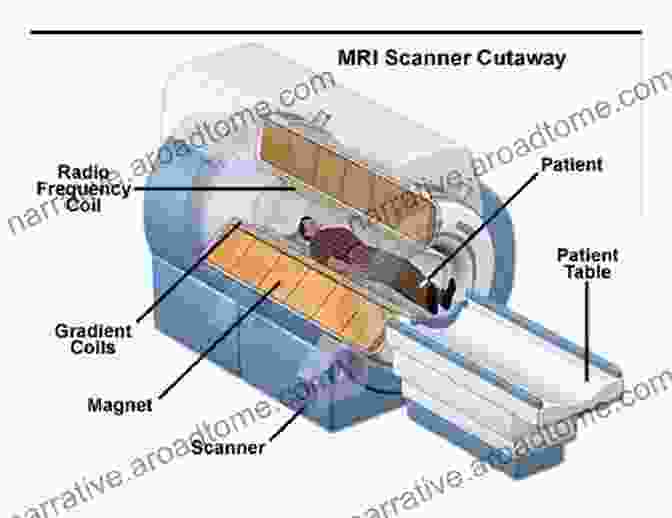 Diagram Illustrating The Principles Of Magnetic Resonance Imaging MRI For Radiographers Philip T English