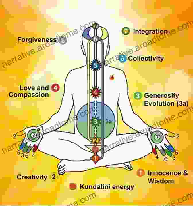 Diagram Of Subtle Energy Flow Through The Human Body How People Heal: The Role Of Subtle Energy And Consciousness In Healing