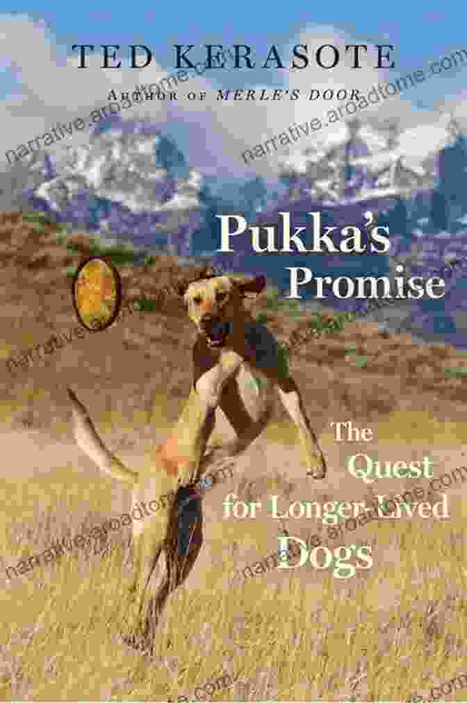 Dr. Sharon Crowley, Author Of 'The Quest For Longer Lived Dogs' Pukka S Promise: The Quest For Longer Lived Dogs