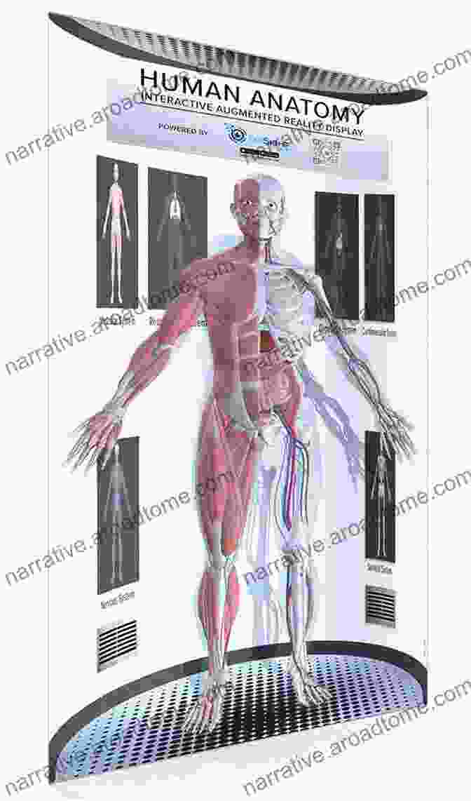 Educational Resources For Human Anatomy Human Anatomy (2 Downloads)