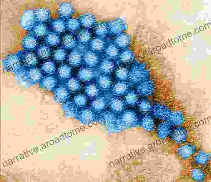 Electron Microscope Image Of A Virus Particle, Revealing Its Intricate Structure. Electron Crystallography: Electron Microscopy And Electron Diffraction (International Union Of Crystallography Texts On Crystallography 16)