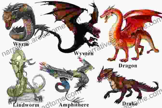 Illustrations Showcasing The Various Types Of Dragons, Including Wyrms And Wyverns A Field Guide To Dragons Trolls And Other Dangerous Monsters (Fantasy Field Guides)