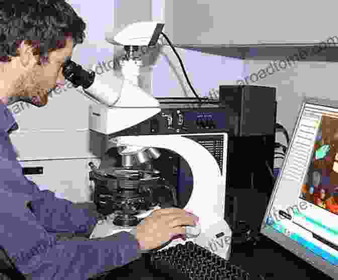 Image Of A Microscope Used To Analyze Geological Samples Thermodynamics Of Natural Systems: Theory And Applications In Geochemistry And Environmental Science