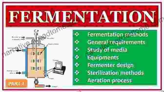 Image Of Fermentation Process HOME BREW: Moods Mess And Mistakes