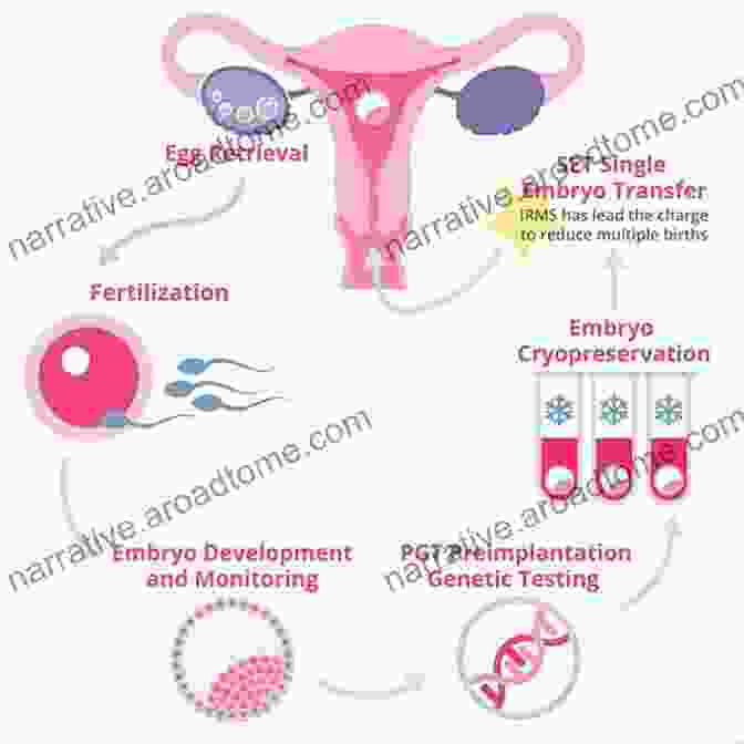 In Vitro Fertilization Procedure Ethics Reproduction And Genetic Control