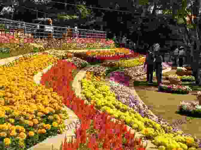 Lush Greenery And Exotic Flora In Pondicherry's Botanical Garden Beyond The Boulevards: A Short Bioigraphy Of Pondicherry: A SHORT BIOGRAPHY OF PONDICHERRY