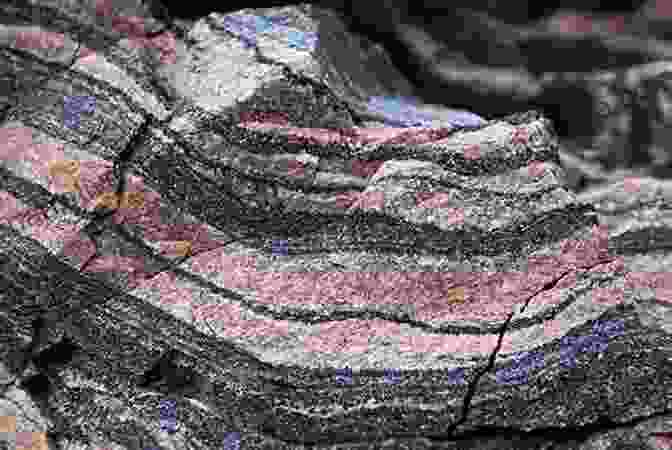 Metamorphic Rock With Foliated Texture Principles Of Igneous And Metamorphic Petrology