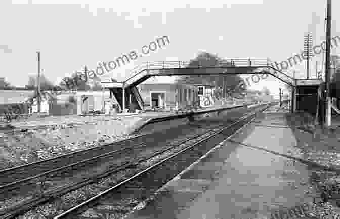 Photograph Of Uffington Station After Its Closure, Showing The Overgrown Platform And Station Building The Faringdon Branch And Uffington Station