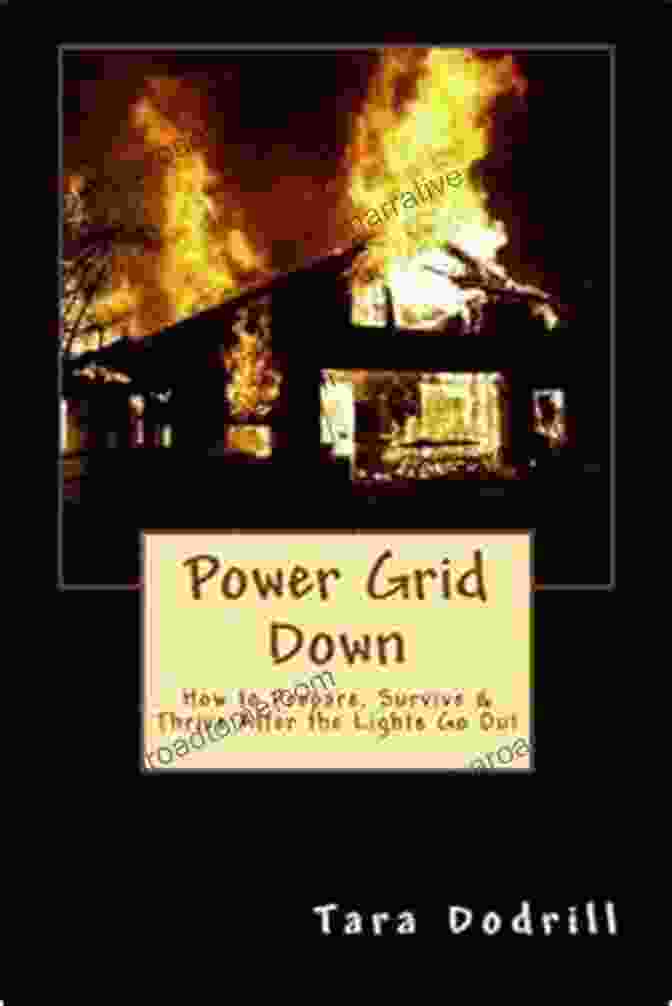 Prepare Survive Thrive After The Lights Go Out Cover Power Grid Down: Prepare Survive Thrive After The Lights Go Out