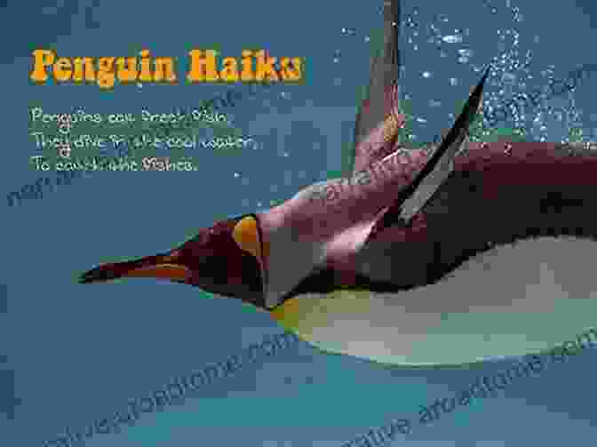 The Penguin Of Haiku Interacting With His Animal Friends The Penguin Of Haiku (Penguin Classics)