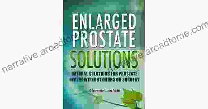 The Prostate Solution Book Cover The Prostate Solution Betsy Prioleau