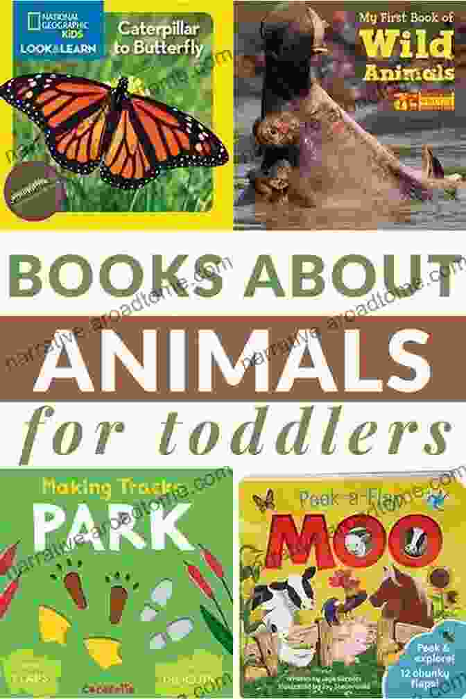 Toddler Exploring Animal Images In A Book Animals A Baby S 1st Beginner And Beyond Library: An Everyday Toddler Preschool Animal Learning Early Reading Readiness For Preschoolers