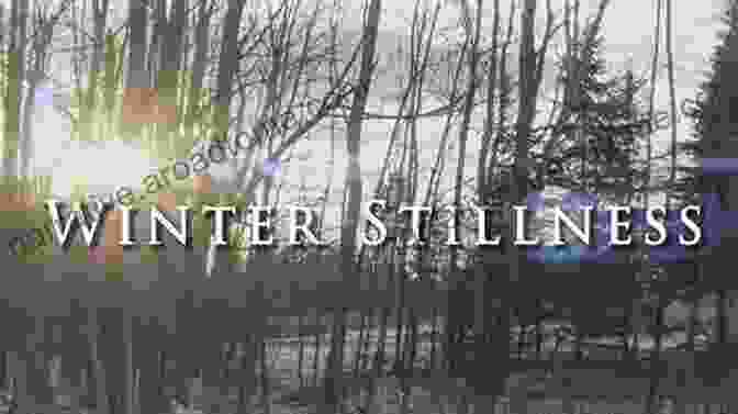 Winter's Stillness And Solitude Offer An Opportunity To Recharge And Realign The 5 Season Detox: Refresh Release Recharge And Realign With Every Season