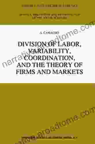 Division Of Labor Variability Coordination And The Theory Of Firms And Markets (Theory And Decision Library A: 22)