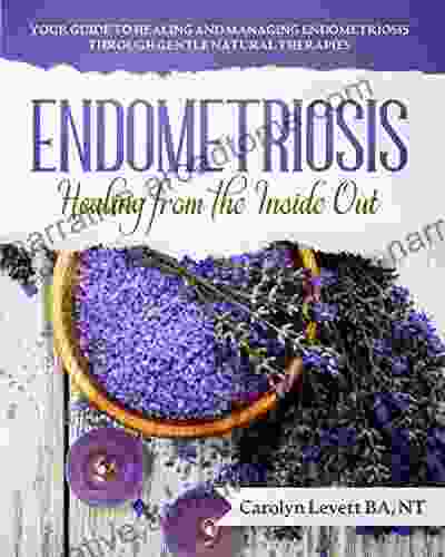 ENDOMETRIOSIS Healing From The Inside Out: Your Guide To Healing And Managing Endometriosis Through Gentle Natural Therapies