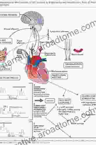 Heart Physiology And Pathophysiology