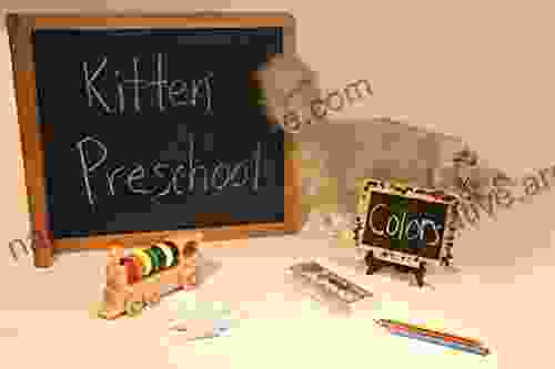 Kitten Preschool Colors Amy Iorio