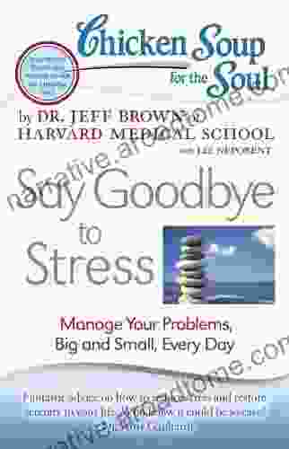 Chicken Soup For The Soul: Say Goodbye To Stress: Manage Your Problems Big And Small Every Day