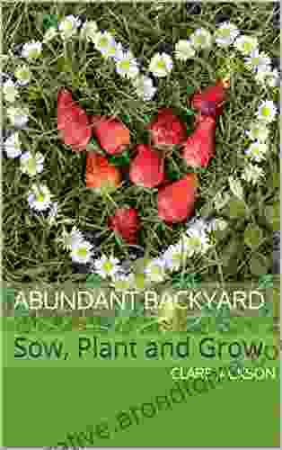 Abundant Backyard: Sow Plant And Grow (Green Footprint Abundant Backyard 1)