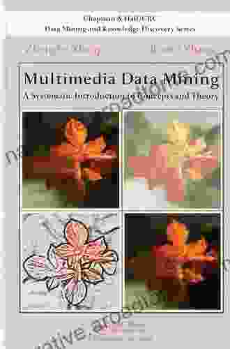 Multimedia Data Mining: A Systematic Introduction to Concepts and Theory (Chapman Hall/CRC Data Mining and Knowledge Discovery Series)