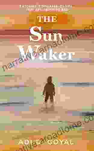 The Sun Waker Adi D Goyal