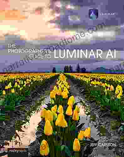 The Photographer S Guide To Luminar AI