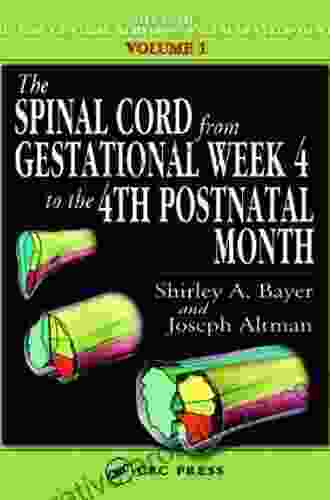 The Spinal Cord From Gestational Week 4 To The 4th Postnatal Month (Atlas Of Human Central Nervous System Development 1)