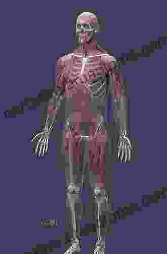 Human Anatomy (2 Downloads)