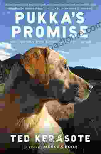 Pukka S Promise: The Quest For Longer Lived Dogs