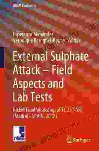 External Sulphate Attack Field Aspects And Lab Tests: RILEM Final Workshop Of TC 251 SRT (Madrid SPAIN 2024) (RILEM Bookseries 21)