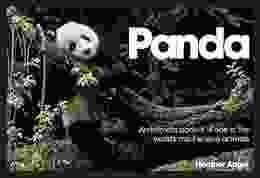 Panda: An Intimate Portrait Of One Of The World S Most Elusive Characters